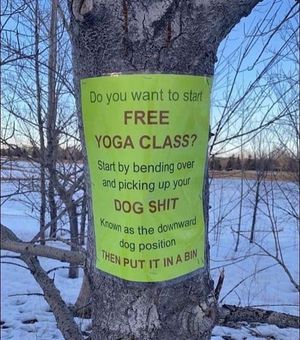 Image post by @calgary.wildin on Instagram