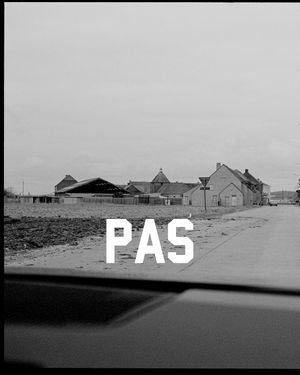 Image post by @pasnormalstudios on Instagram