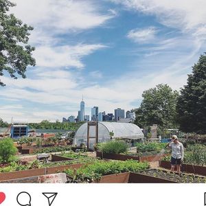 Image post by @deloittedigital on Instagram