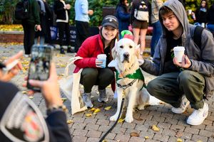 Image post by @northeastern on Instagram