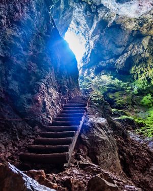 Image post by @cristan.nature.photography on Instagram