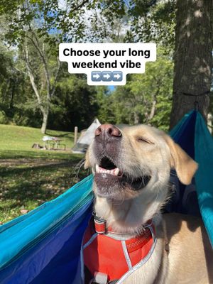 Image post by @enohammocks on Instagram