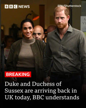 Image post by @bbcnews on TikTok