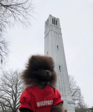 Image post by @ncstate on Instagram