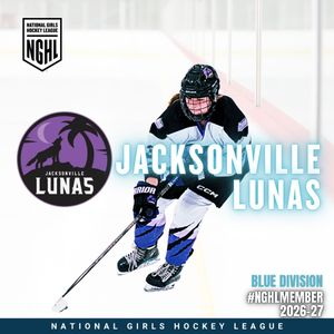 Image post by @nghlhockey on Instagram