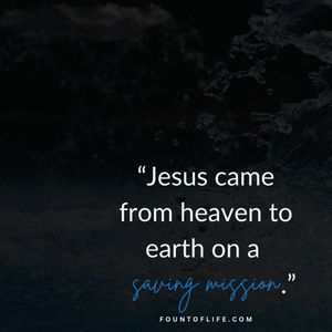 Image post by @fountoflifeco on Instagram