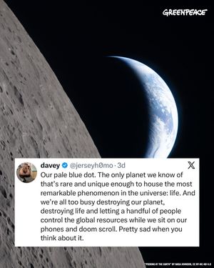 Image post by @greenpeace on Instagram