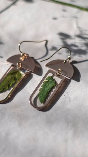 Video post by @leafyaffair on Instagram
