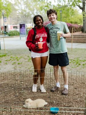 Image post by @uofscstudents on Instagram
