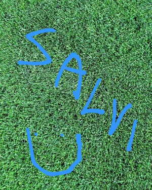 Image post by @empolifootballclub on TikTok