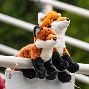 Image post by @focofoxes on Instagram