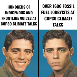Image post by @greenpeace on Instagram