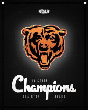 Image post by @steelersyouthfb on Instagram