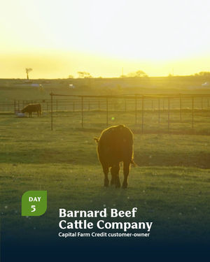 Image post by @farmcredit on Instagram