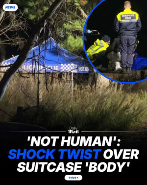 Image post by @dailymailau on TikTok