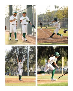 Image post by @willgmacneil on Twitter