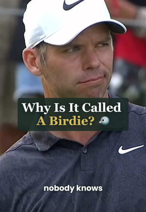 Video post by @golf_manual on TikTok