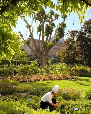 Image post by @belmond on Instagram