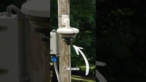 Video post by @ajcvideo on YouTube