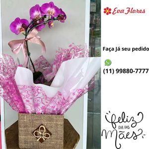 Image post by @evafloresoficial on Instagram