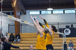 Image post by @gopetrels on Instagram