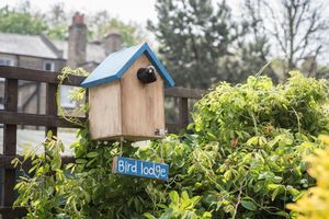 Image post by @rspb on Instagram