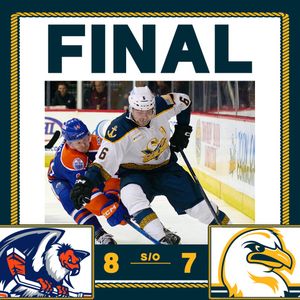 Image post by @sdgullsahl on Instagram
