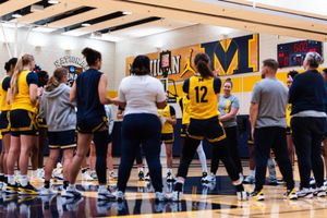 Image post by @umichwbball on Instagram