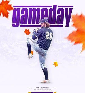 Image post by @bubruins_bsbl on Instagram