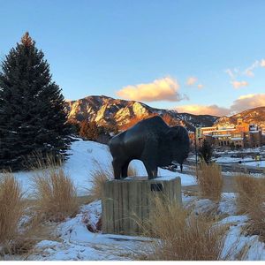 Image post by @cubuffsvb on Instagram