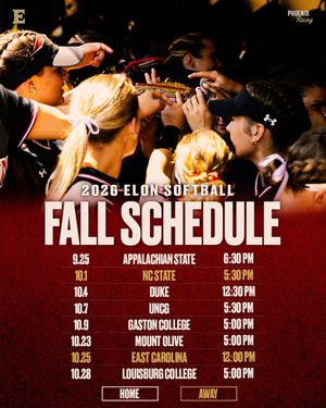 Image post by @elonsoftball on Instagram