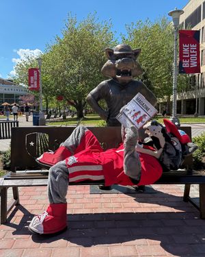 Image post by @stonybrooku on Instagram