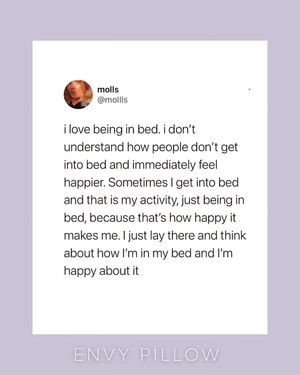 Image post by @envypillow on Instagram