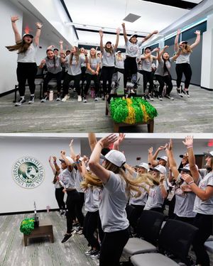 Image post by @usfsoftball on Instagram