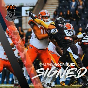 Image post by @pac_coaching on Instagram