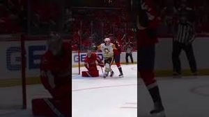 Video post by @penguins on YouTube
