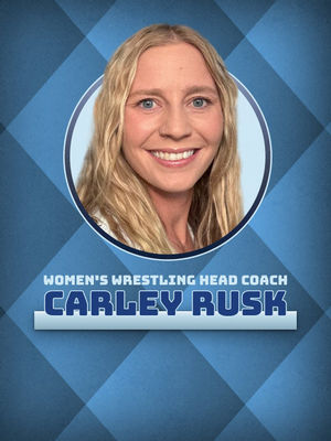 Image post by @saubees on Instagram