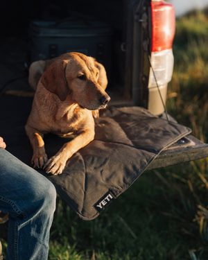 Image post by @yeti on Instagram