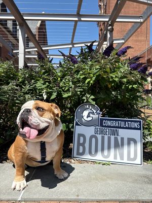 Image post by @georgetownuniversity on Instagram