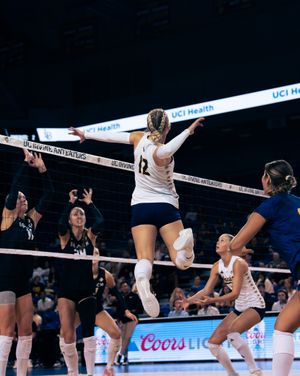 Image post by @uciwvb on Instagram