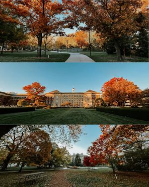 Image post by @unlincoln on Instagram