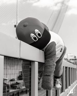 Image post by @chattlookouts on Instagram