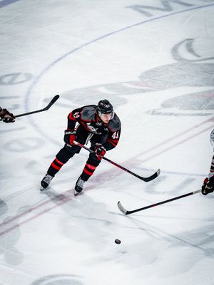 Image post by @ohlicedogs on Instagram