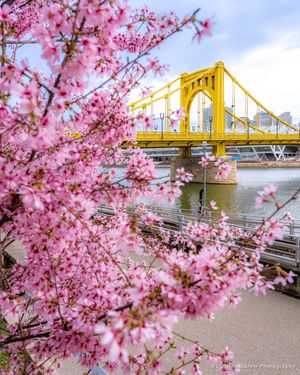 Image post by @visitpittsburgh on Instagram