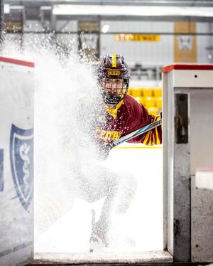 Image post by @cmuhockeyd3 on Instagram