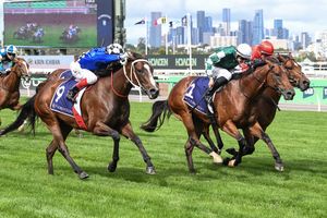 Image post by @flemingtonvrc on Instagram