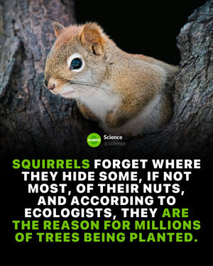 Image post by @science on Instagram