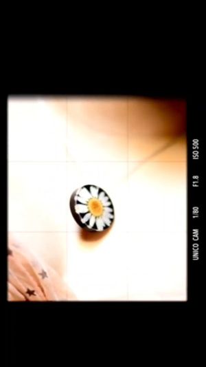 Video post by @leafyaffair on Instagram