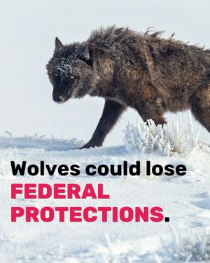 Image post by @centerforbiodiv on Instagram