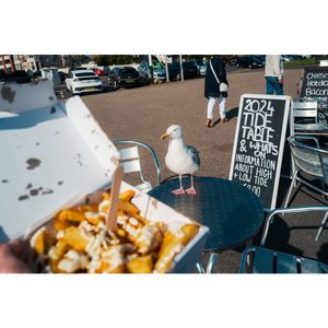 Image post by @leica_camera on Instagram
